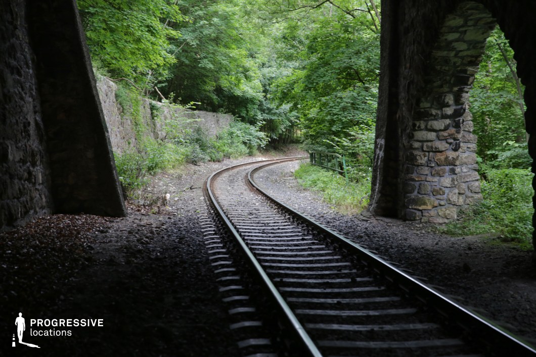 This scenic railway passage features steel tracks curving gently through a dense, green forest, framed by a weathered stone archway. The tunnel’s rough-hewn masonry contrasts with the soft foliage, creating a balance between man-made structure and nature’s overgrowth. The gravel-covered ground and retaining stone walls further enhance the sense of depth and direction, guiding the viewer’s eye along the winding path. The location exudes a secluded, almost forgotten atmosphere, making it an ideal setting for mystery, historical dramas, or adventure films, where themes of discovery, isolation, or hidden pathways are central to the narrative.