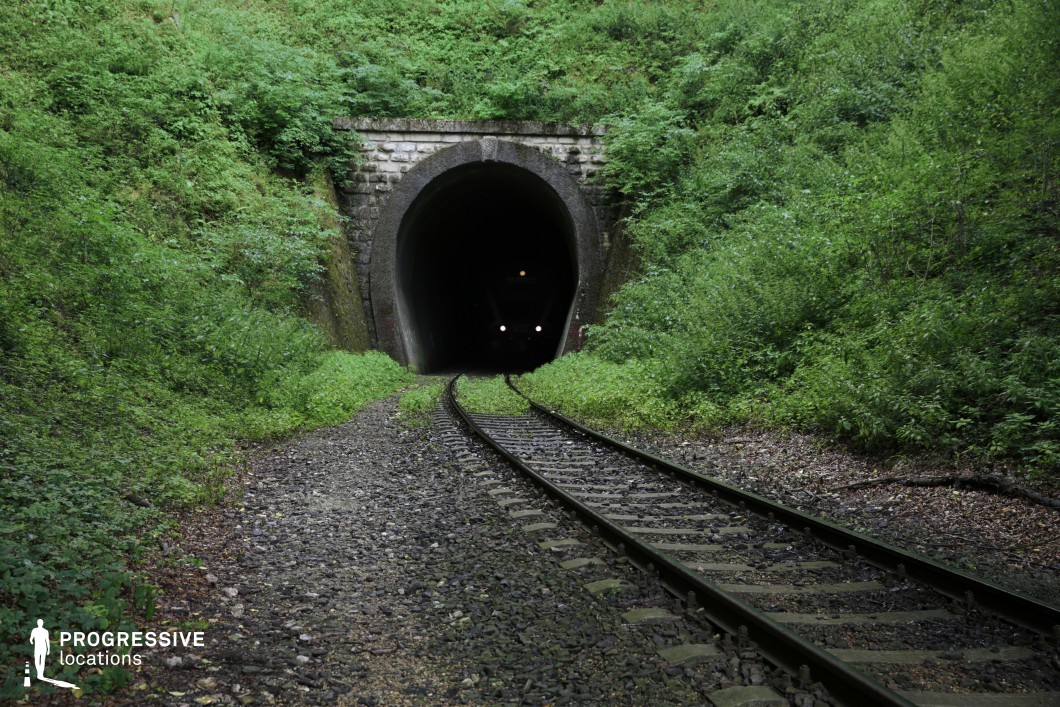 Nestled within dense greenery, this railway tunnel emerges from a hillside, framed by stone masonry that blends with the overgrown vegetation. The dark, arched entrance creates a stark contrast against the surrounding foliage, adding depth and mystery to the scene. The single railway track curves gently into the tunnel, with gravel and moss-covered ground flanking its path, reinforcing an aged, slightly abandoned aesthetic. The dense plant life, with varied shades of green, adds an organic, untamed quality, making the location feel remote and secluded. This setting is ideal for filming suspenseful or dramatic scenes, such as mystery, thriller, or adventure genres, where an element of secrecy or discovery is essential.