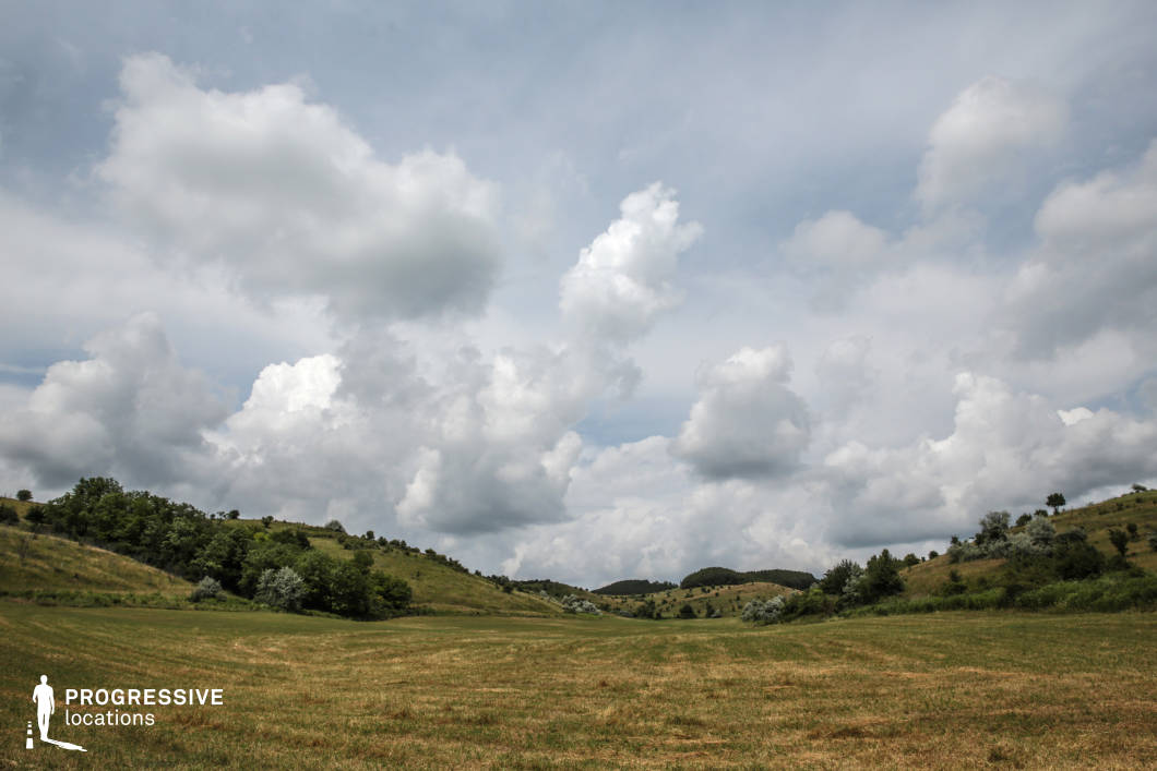 A vast, open meadow framed by softly undulating hills, presenting a serene and functional natural setting. The grass in the field is uniformly short, suggesting regular grazing activity, making this landscape ideal for agricultural or pastoral use. The gentle slopes of the hills are scattered with shrubs and small trees, adding depth and texture to the scene. The lack of man-made structures or pathways enhances the sense of openness and simplicity, while the clear, expansive space provides flexibility for various outdoor purposes, from livestock management to filming tranquil rural scenes. This location balances functionality with natural beauty, making it versatile for creative or practical applications.