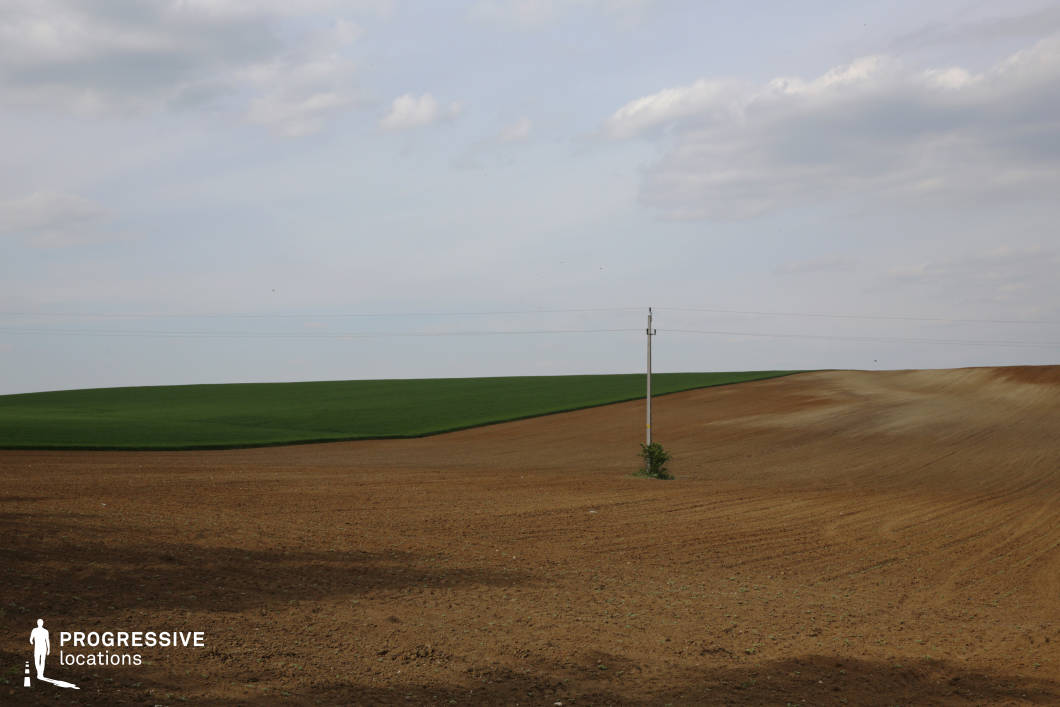 A gently undulating landscape divided into two contrasting sections: a freshly plowed, earthy brown field and an adjacent vibrant green area covered in low vegetation. The distinct textures and colors of the terrain create a visually appealing contrast, emphasizing the agricultural or natural potential of the location. A single electric pole, standing prominently with a small bush at its base, introduces a subtle functional element to the otherwise open and minimalist scene. This setting is ideal for capturing the interplay between natural landscapes and human-made infrastructure, highlighting rural simplicity and versatility.