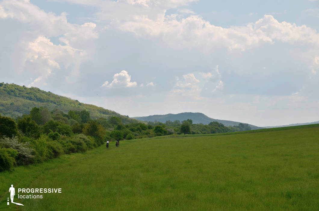 A lush green meadow stretches across the foreground, bordered by dense, vibrant tree lines and rolling forested hills. The expansive grassy field, gently sloping toward the hills, offers a natural open space ideal for grazing, leisure, or outdoor activities. The scene transitions seamlessly into the wooded area, creating a harmonious blend of open and enclosed natural elements. The distant hills provide a sense of depth and a picturesque backdrop, emphasizing the tranquility and rural charm of the setting. This location is versatile, suitable for capturing serene landscapes, rural life, or activities involving expansive natural terrains.