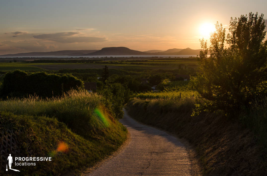 A narrow country road gently winds through lush greenery, framed by tall grass and trees on either side, leading the viewer's eye toward the expansive landscape beyond. The setting sun casts a warm golden glow over the scene, accentuating the textures of the vegetation and the undulating terrain in the foreground. In the distance, rolling hills and a glimpse of a serene lake create a layered and picturesque backdrop. The combination of the quiet pathway, rural charm, and vibrant sunset colors makes this location perfect for capturing tranquil countryside moments, romantic settings, or dramatic outdoor scenes.