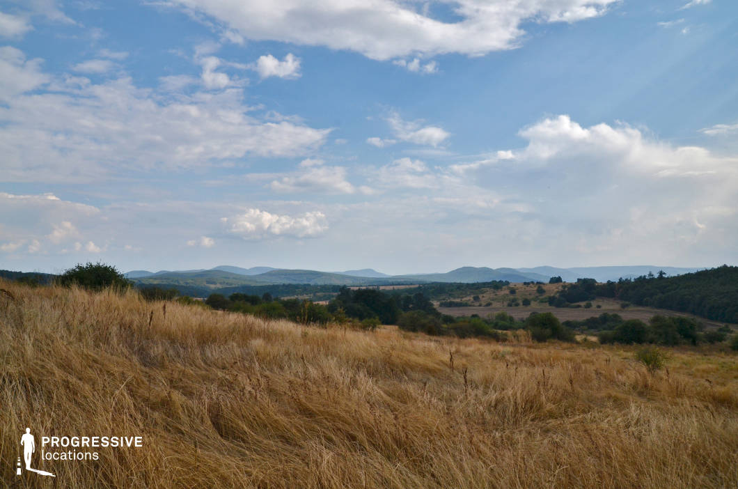 A wide expanse of golden, dry grassland stretches across the foreground, blending into a softly undulating landscape of hills and scattered trees. The dry, windswept texture of the grass contrasts with the greenery of the distant shrubs and woodlands. Beyond, the layered hills roll gently towards the horizon, adding depth and a sense of vast openness to the scene. The location’s natural simplicity and rugged charm make it ideal for depicting themes of wilderness, tranquility, or the raw beauty of untouched rural environments.
