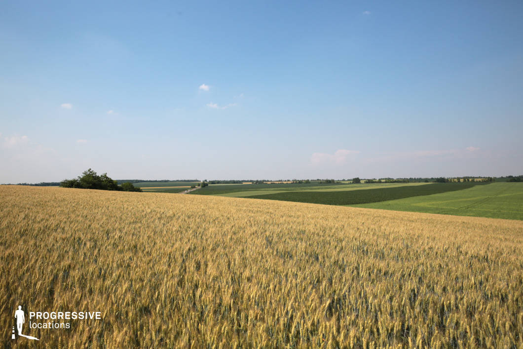 Locations in Hungary: Wheat Field, Deg