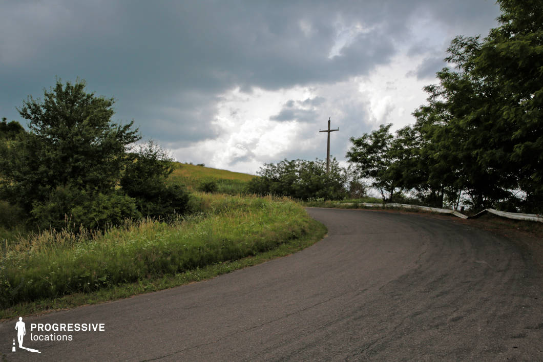 This image captures a smooth paved road curving gracefully through lush greenery. The low-angle perspective emphasizes the curve, drawing the viewer’s eye into the composition. Rolling hills and dense vegetation form a vibrant backdrop, with layers of green under a bright blue sky punctuated by soft white clouds. The composition and natural lighting create a dynamic and inviting scene, ideal for settings emphasizing travel or exploration amidst nature.