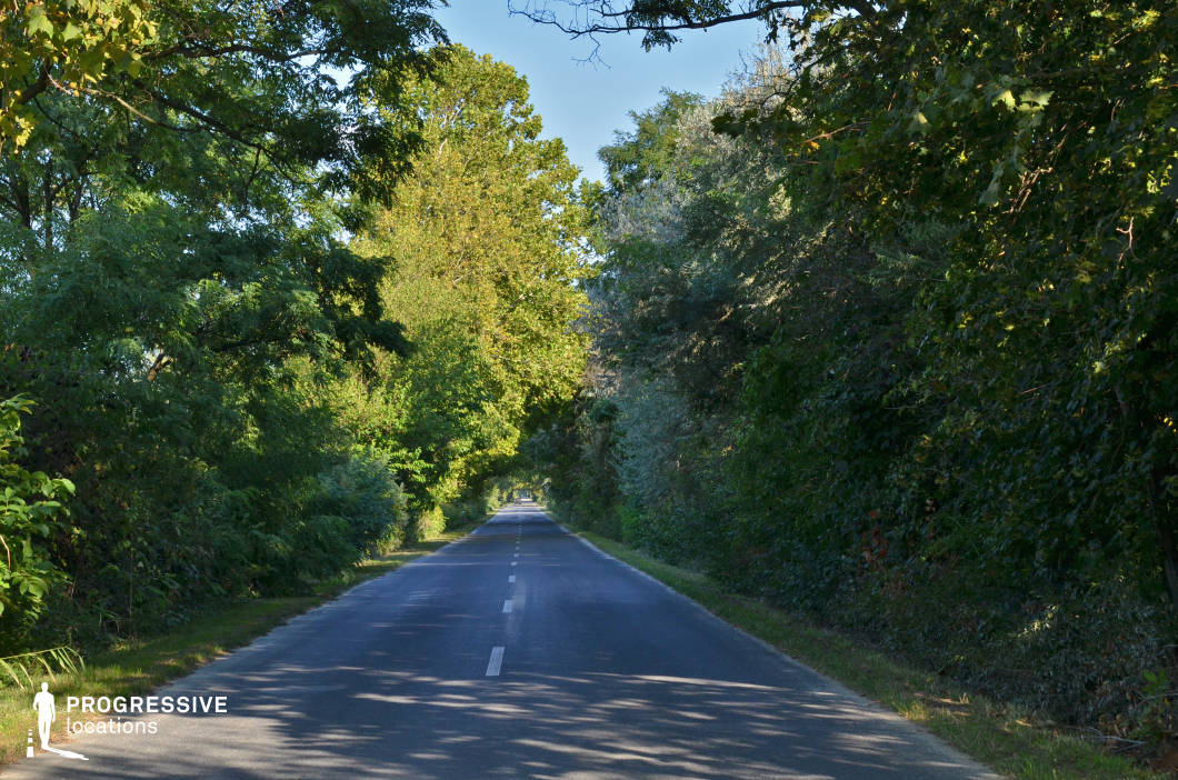 Locations in Hungary: Countryside Avenue, Oroszlany