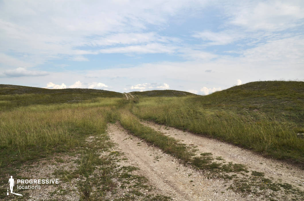 This image features a narrow gravel path that gently winds through an open expanse of rolling hills covered in tall grass. The texture of the gravel contrasts with the soft, natural tones of green and yellow in the surrounding vegetation, creating a rugged yet peaceful atmosphere. The horizon is defined by small hilltops, leading the viewer's eye upwards, while the open sky with scattered clouds enhances the sense of vastness and simplicity. The minimalistic landscape, devoid of structures or prominent elements, provides an ideal backdrop for scenes emphasizing isolation, introspection, or natural beauty.