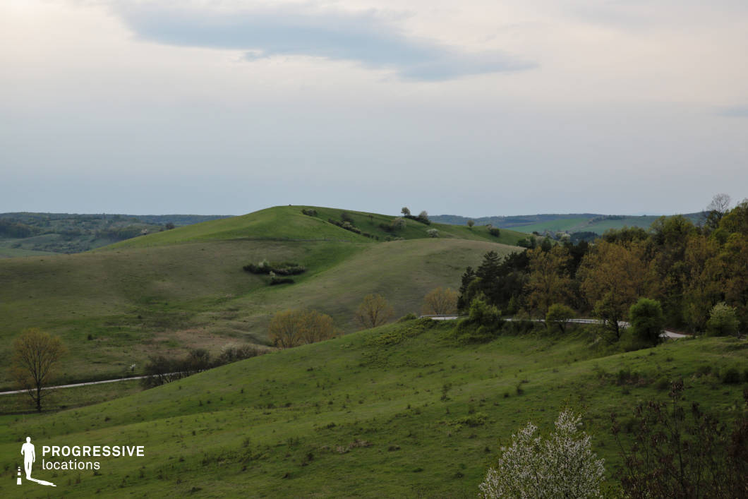 This image depicts a vast landscape of gently rolling green hills, dotted with sparse trees and patches of natural vegetation. The soft gradients of the terrain flow seamlessly into the horizon, creating a sense of openness and serenity. A narrow road winds subtly through the foreground, partially hidden by the natural contours of the hills. The muted tones of the overcast sky contrast with the vibrant greenery, adding depth to the composition. This idyllic rural setting is perfect for establishing shots or scenes emphasizing natural beauty and solitude.