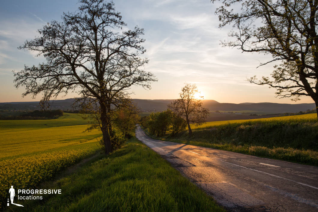 This image captures a rural road flanked by vibrant yellow rapeseed fields and lush green grass, bathed in the golden hues of a setting sun. Bare trees punctuate the landscape, adding a sense of depth and structure. The warm light enhances the natural colors, and the distant hills provide a serene backdrop, making this location ideal for scenes emphasizing beauty, warmth, and rural simplicity.