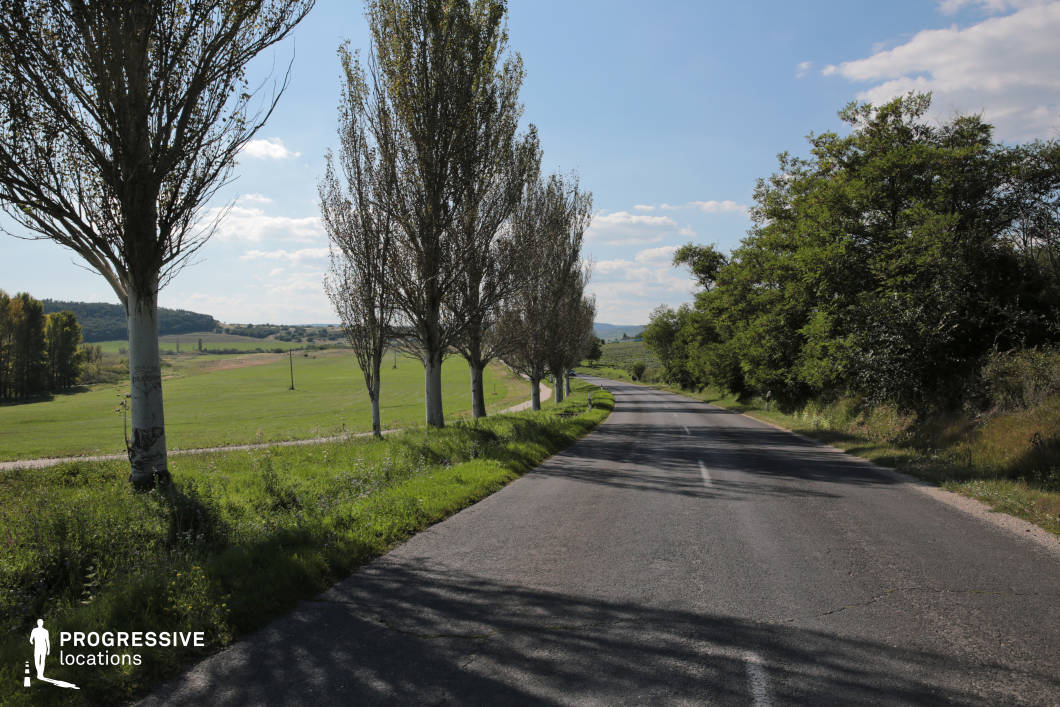 This serene countryside road is flanked by a row of tall, slender trees on one side, creating a rhythmic visual pattern that guides the viewer's eye along the gently curving path. The lush greenery of the surrounding fields and the distant rolling hills provides a tranquil and inviting atmosphere, ideal for scenes that emphasize peaceful rural settings or contemplative moments. The road itself, with its smooth asphalt surface, is wide enough to accommodate various activities, from casual drives to cinematic tracking shots. The contrast between the natural elements and the structured road creates a harmonious composition, with the trees offering both shade and a sense of enclosure. The open sky and expansive landscape in the background provide depth, making this location versatile for diverse visual storytelling needs.