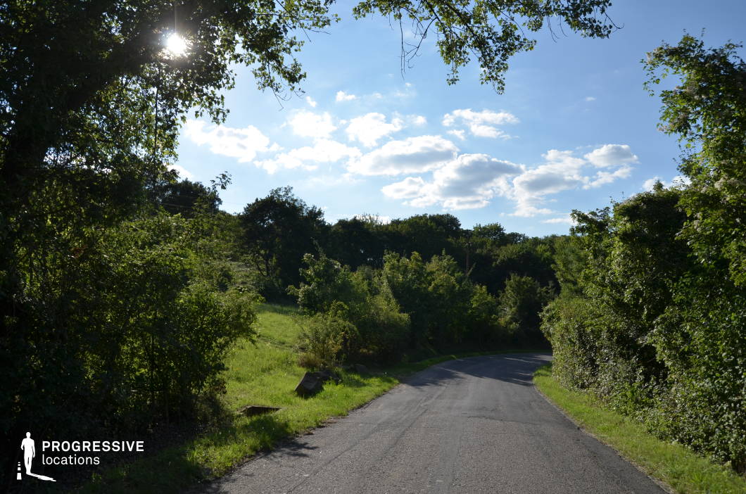 This charming rural road meanders gently through a verdant landscape, framed by dense foliage and open fields. Sunlight filters through the trees, creating a play of light and shadow on the asphalt and highlighting the vibrant greenery on both sides of the path. The natural arch formed by the overhanging branches adds a sense of intimacy and tranquility to the setting. The scene transitions seamlessly between open fields and forested areas, offering a versatile backdrop for outdoor scenes. The gentle curve of the road leads the viewer's eye into the distance, evoking a sense of exploration and journey. This location is ideal for capturing serene, natural environments and sequences emphasizing harmony with nature.