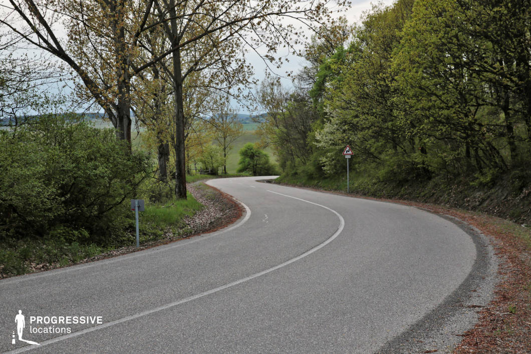 This curving road snakes gently through a verdant countryside, bordered by a mix of dense greenery and scattered trees with early spring foliage. The smooth pavement and crisp white lines suggest a well-maintained surface, ideal for scenes depicting travel or quiet rural journeys. The vegetation encroaching on both sides creates a natural corridor, with the open countryside visible in the distance, adding depth and a sense of connection to the broader landscape. The soft, muted tones of the foliage and the road's curve provide a tranquil and organic composition, making it suitable for reflective or leisurely sequences. The harmonious blend of natural and man-made elements enhances the versatility of this location for film and photography projects.
