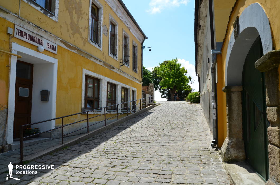 This image features a gently sloping cobblestone street flanked by historic buildings with a European old-town charm. The yellow plastered facade on the left exhibits signs of aging, with peeling paint and exposed masonry, adding a rustic character. Wooden-framed windows and a modest entrance contribute to the building’s traditional aesthetic. On the right, an arched green wooden door set in a stone frame enhances the historic ambiance. The street is lined with vintage-style wall lanterns, and a handrail runs along the incline, indicating a pedestrian-friendly environment. The scene leads to a small open space with lush green trees, creating a natural focal point. This location is ideal for period film settings, travel documentaries, or productions seeking an authentic, small-town European atmosphere.