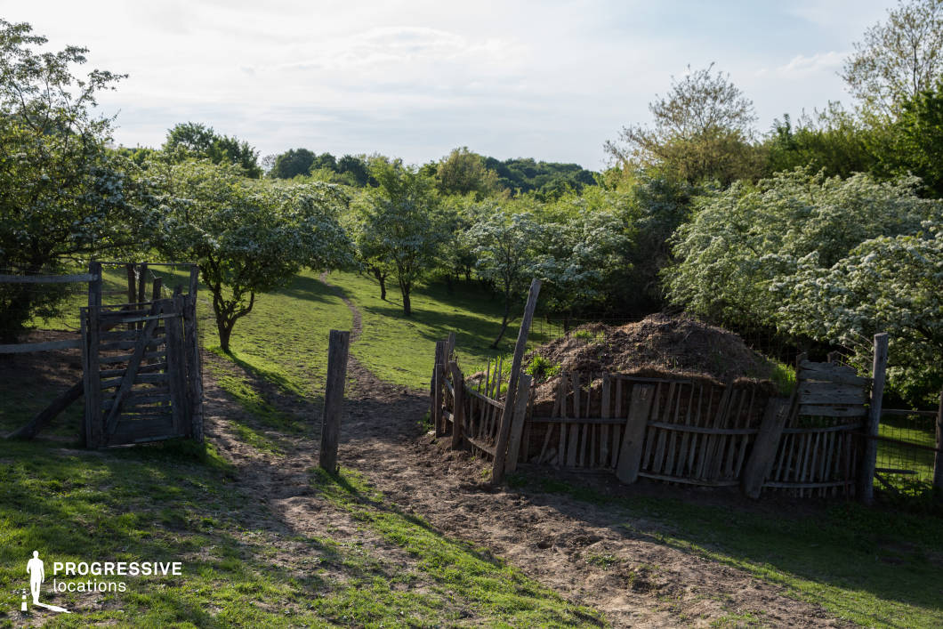 This image showcases a tranquil rural landscape featuring an orchard with small, flowering trees set against a gently rolling green pasture. A narrow dirt path meanders through the scene, leading deeper into the orchard, enhancing the sense of depth and natural harmony. In the foreground, a rustic wooden fence, worn and uneven, encloses a compost pile, reinforcing the agricultural character of the setting. The aged wooden gate, partially open, adds to the authentic countryside ambiance. The combination of lush greenery, traditional farming elements, and soft natural lighting makes this an ideal location for film productions, nature documentaries, or projects seeking to capture the simplicity and charm of rural life.