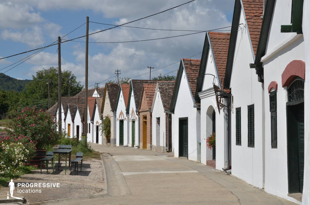 This image showcases a picturesque row of traditional Hungarian wine cellars, known for their uniform, steeply pitched gable roofs and whitewashed facades. These cellar doors, often painted in dark green or accented with brickwork, create a visually striking composition along the gently curving street. The setting is framed by lush greenery and rolling hills in the background, reinforcing the vineyard-rich heritage of the region. A small seating area with rustic wooden benches and tables adds a welcoming touch, hinting at the area's role in wine tasting and social gatherings. This location is ideal for travel documentaries, cultural heritage projects, or film productions capturing the charm of historic European winemaking villages.
