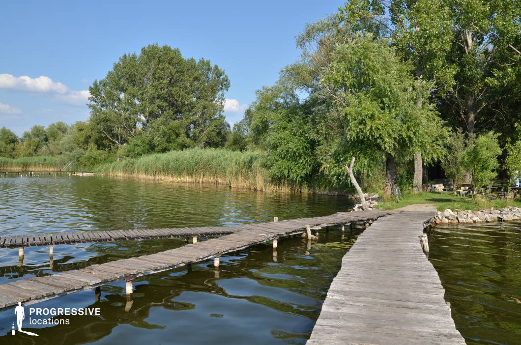 The image features a weathered wooden pier extending over a calm lake, branching into multiple directions. The uneven planks and simple wooden supports create a rustic, handmade aesthetic. Surrounding the lake, tall reeds and lush trees frame the scene, enhancing the sense of seclusion and natural tranquility. The shoreline consists of grass and scattered stones, adding to the organic, unpolished feel of the location. This setting is ideal for filming serene, introspective, or nostalgic scenes, making it well-suited for genres such as drama, romance, or mystery. The pier’s winding structure also adds an element of visual intrigue, making it a strong choice for scenes involving contemplation, secretive meetings, or poetic solitude.