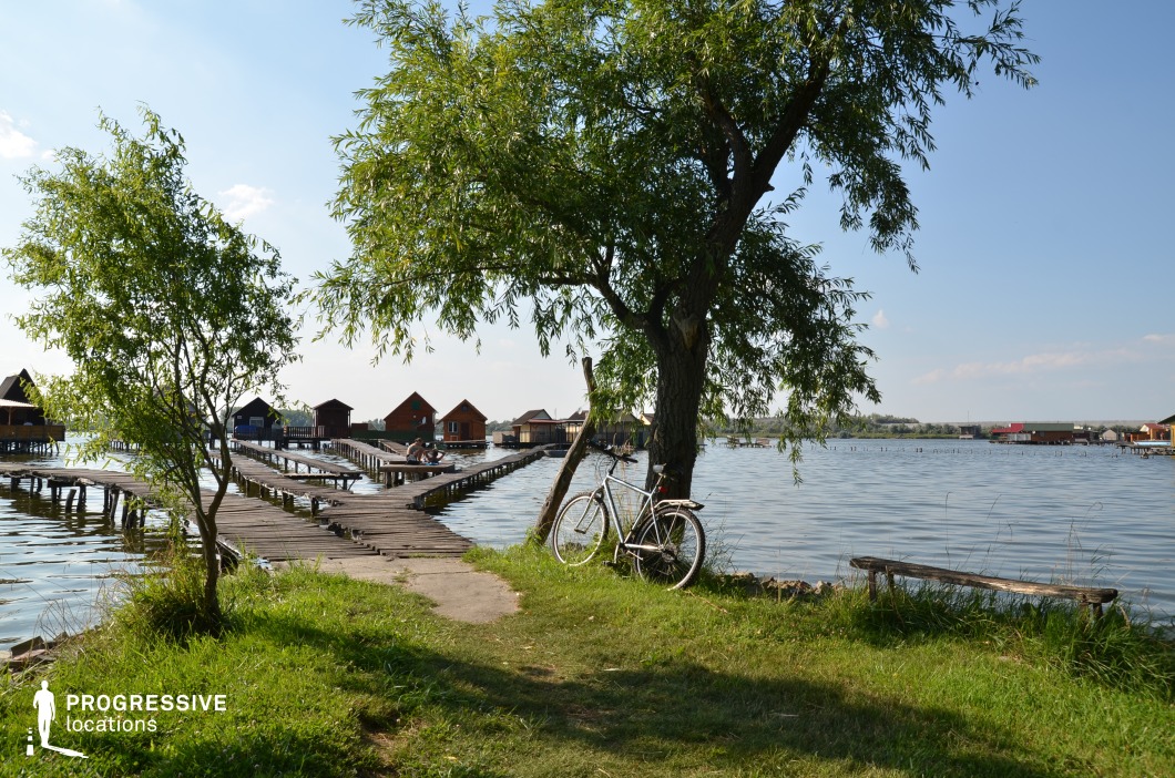 This tranquil lakeside setting features a network of rustic wooden piers extending over calm waters, leading to a cluster of floating houses with wooden facades. A large tree in the foreground adds depth to the composition, while the grassy shoreline enhances the natural, serene atmosphere. The scene balances elements of rural charm and functional lake living, creating an ideal backdrop for peaceful, introspective, or romantic film sequences. Suitable for indie dramas, nostalgic coming-of-age stories, or travel-themed productions, this location offers a timeless and visually rich environment for storytelling.