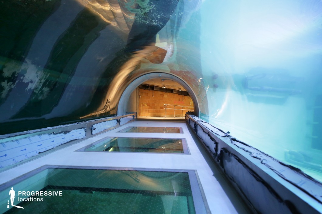 This visually striking underwater tunnel features transparent glass walls and ceiling, creating an immersive experience surrounded by water. The tunnel’s structure is composed of reinforced glass panels, seamlessly integrated with sleek metal frames, offering a futuristic and high-tech aesthetic. The reflections and distortions of light through the water add a surreal, almost dreamlike quality to the space. The tunnel’s curved design leads to a warmly lit exit framed by industrial-style brickwork, providing a contrasting visual element. This location is ideal for sci-fi, fantasy, and adventure film scenes, as well as high-stakes thriller sequences set in an underwater facility or a futuristic research center. The transparent flooring adds depth and a sense of weightlessness, making it an excellent choice for dynamic cinematography and dramatic visual storytelling.