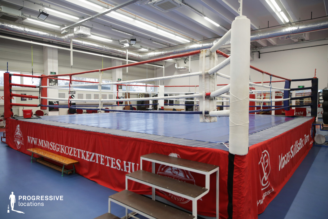 This modern boxing facility features a full-sized competition ring with red, white, and blue ropes and a blue mat surface, prominently positioned in the center of the room. The ring is elevated and bordered by branded red skirting, and access is provided by a sturdy metal staircase. The surrounding area includes gym equipment, padded training zones, and a variety of training gear, all under a high industrial ceiling with exposed ductwork and bright fluorescent lighting. The interior design combines functionality with a clean, professional atmosphere. Large windows and light-colored walls enhance the sense of space and visibility, making it an ideal location for training montages, sports-themed shoots, or intense physical performance scenes. The venue conveys authenticity, discipline, and a competitive spirit, suitable for both commercial and narrative productions.