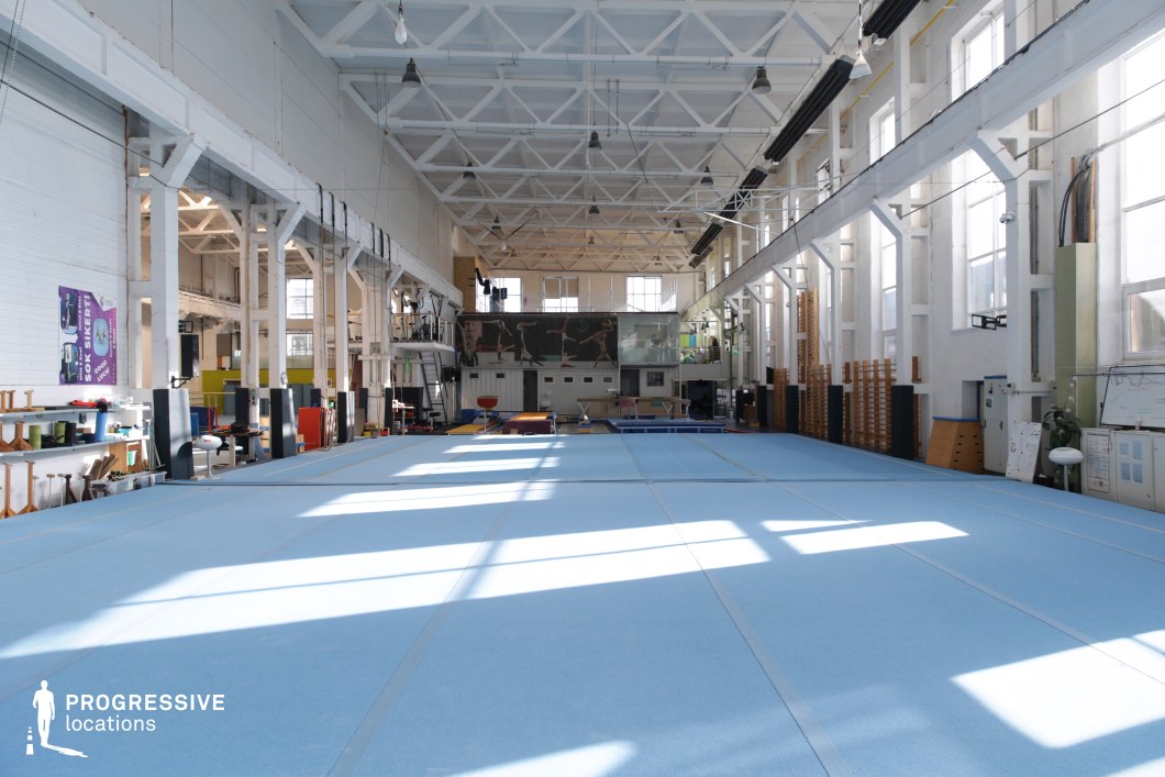 This expansive gymnastics training hall features an open, industrial-style interior with high ceilings supported by a grid of exposed steel beams and trusses. Large vertical windows along both sides of the space flood the area with natural light, enhancing the clean white walls and amplifying the airy feel. The central focus is a full-size blue spring floor, surrounded by various gymnastics apparatuses including vaults, balance beams, parallel bars, and padded training equipment. Functional details such as wall-mounted gymnastic ladders, pegboards, and training tools line the perimeter, while ceiling-mounted lighting and mechanical fixtures emphasize the utilitarian design. The visual balance between industrial structure and colorful equipment offers a dynamic backdrop, making it highly suitable for sports commercials, training-themed scenes, or energetic studio shoots.