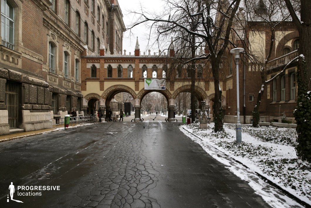 This image features a grand Gothic Revival-style archway connecting two historic brick buildings, creating a visually striking passageway. The intricate stonework, pointed arches, and decorative crenellations add a medieval-inspired charm, while the arched windows and ornamental patterns reinforce the architectural elegance. The foreground consists of a paved road with visible cracks, flanked by trees and patches of ivy-covered greenery, adding a natural contrast to the rigid structure. The perspective leads through the arch towards a tree-lined avenue, enhancing the depth of the scene. This location is ideal for period dramas, academic or institutional settings, and mystery or historical narratives, offering a rich and atmospheric European backdrop.