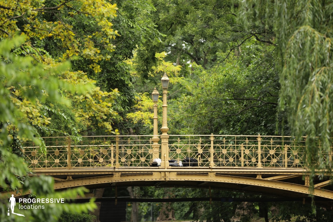 This image features a beautifully designed yellow cast-iron bridge spanning a tranquil park landscape. The bridge’s intricate metalwork railings and decorative lampposts add a touch of historic elegance, blending seamlessly with the dense canopy of trees surrounding it. The natural arch of the bridge, along with the lush green foliage in the background, creates a picturesque and serene atmosphere. This location is ideal for filming romantic encounters, reflective moments, or historical and period dramas, offering a visually rich and timeless setting that evokes classic European park scenes.