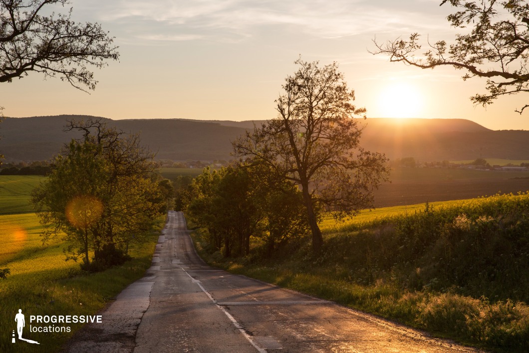 This image showcases a quiet rural road stretching toward the horizon, flanked by rolling green fields and scattered trees. The warm golden light of the setting sun casts long shadows, creating a dramatic contrast between illuminated foliage and darker foreground elements. The weathered asphalt, with visible cracks and faded markings, adds to the rustic charm of the landscape. The hills in the distance provide a sense of depth, enhancing the road’s inviting yet mysterious quality. This location is ideal for road trip narratives, reflective character moments, or nostalgic and atmospheric storytelling that emphasizes journey and transformation.