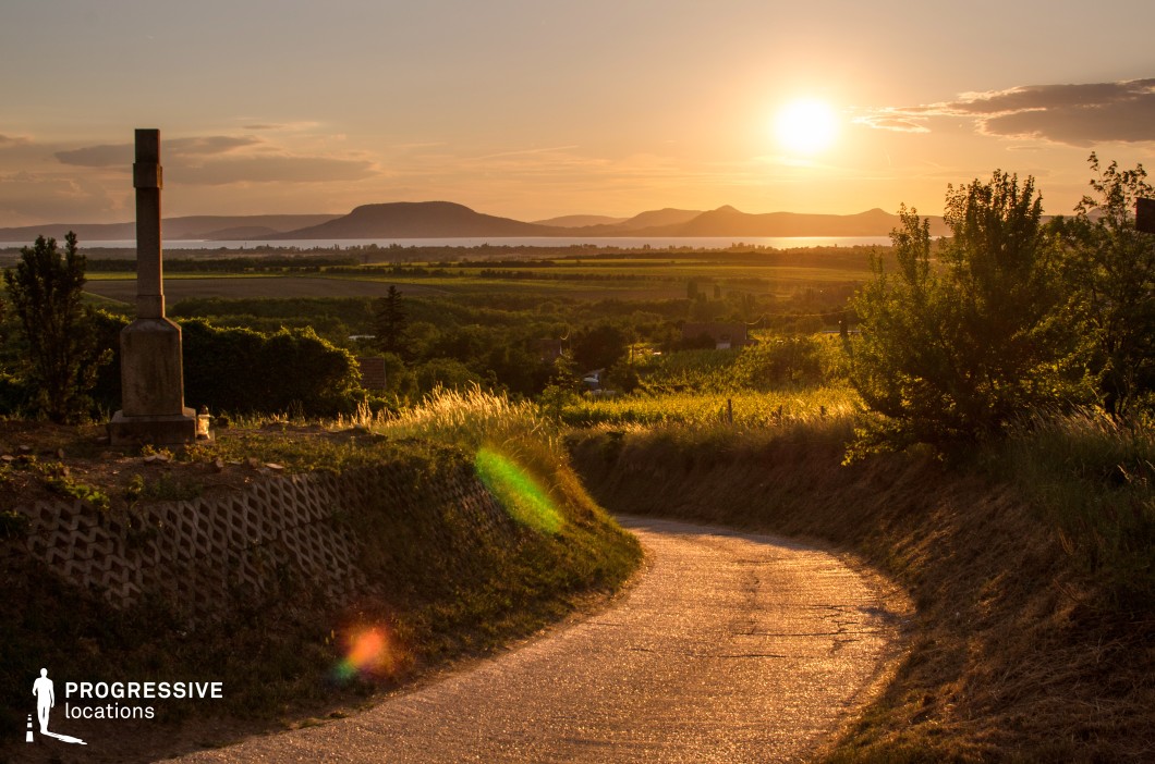 This image features a gently curving country road leading through rolling green fields toward a distant lake, framed by volcanic hills. The road is flanked by overgrown grassy embankments, adding a natural, rustic charm to the setting. A solitary stone monument stands at the roadside, enhancing the timeless and contemplative atmosphere of the location. The layered landscape of vineyards, trees, and water creates a rich visual depth. This setting is ideal for reflective, character-driven narratives, road trip sequences, or scenic establishing shots that emphasize serenity, nostalgia, and a connection to nature.
