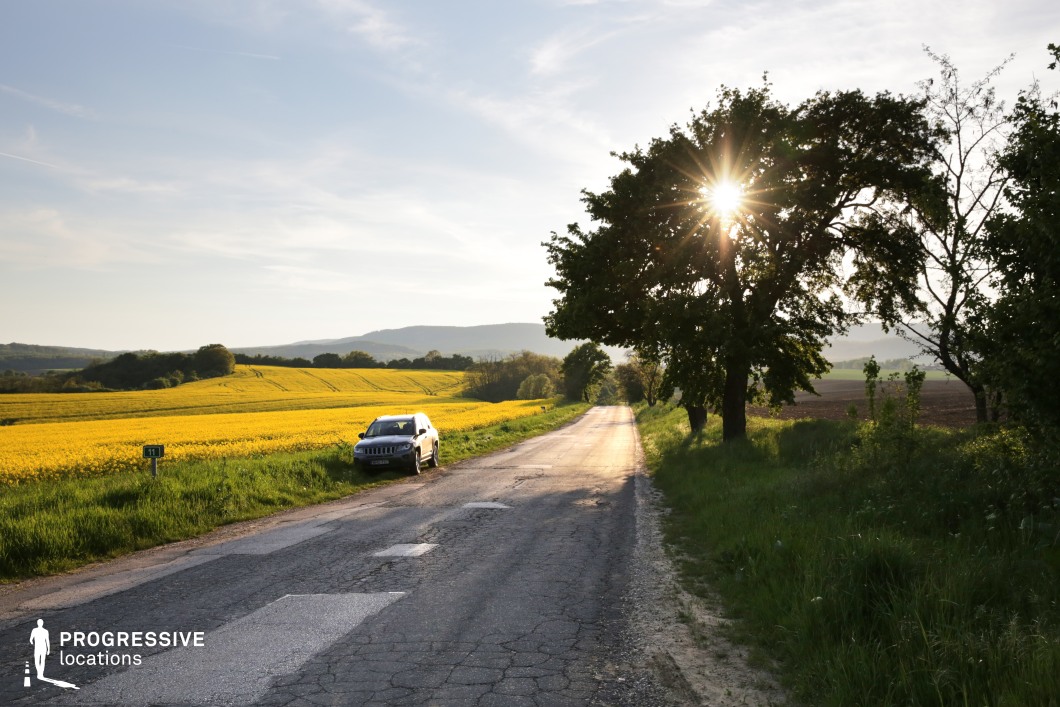 This image captures a picturesque country road stretching into the distance, flanked by vibrant yellow rapeseed fields and patches of greenery. The aged asphalt, with visible cracks and repairs, adds a sense of timeworn authenticity, reinforcing the rural character of the location. A large tree on the right filters sunlight, casting dappled shadows across the scene, while rolling hills in the background provide depth and a scenic horizon. The warm tones and expansive landscape make this location ideal for road trip sequences, nostalgic dramas, or contemplative storytelling requiring a serene and cinematic countryside setting.