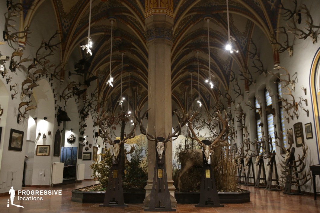 This grand hall combines Gothic architectural elegance with a dramatic hunting lodge aesthetic. The high rib-vaulted ceiling, adorned with intricate medieval-style patterns, is supported by stone columns that create a cathedral-like ambiance. The walls are lined with an extensive collection of mounted antlers and hunting trophies, while large stag skulls with imposing antlers take center stage on custom pedestals. The dim lighting and arched stained-glass windows contribute to the room’s mysterious and historic atmosphere. This location is ideal for filming period dramas, aristocratic hunting retreats, or gothic-inspired mystery and thriller scenes set in an old-world hunting estate or castle.