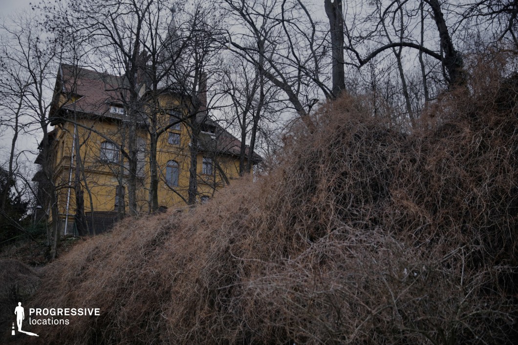This image depicts a secluded, aged yellow house partially obscured by tangled, dry vegetation and barren trees. The house, with its steep roof and tall windows, appears abandoned or forgotten, blending into the eerie, unkempt surroundings. The overgrown hillside and leafless branches create a sense of decay, reinforcing the feeling of isolation and mystery. This location is ideal for psychological thrillers, horror films, or gothic dramas, offering an unsettling backdrop for haunted house narratives, hidden family secrets, or eerie supernatural occurrences.