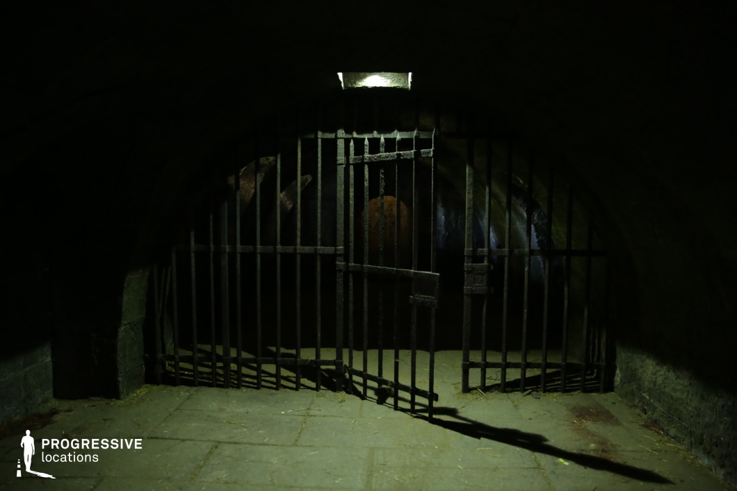 The image captures a dimly lit, arched underground tunnel, partially obstructed by a rusted iron gate with thick vertical bars. The damp stone walls and uneven floor contribute to an ominous, decayed atmosphere, while a single overhead light casts dramatic shadows, emphasizing the depth of the passage beyond. Moss and grime cling to the surfaces, reinforcing a sense of abandonment and secrecy. This setting is ideal for horror, mystery, or thriller productions, offering a visually striking location for scenes involving confinement, hidden dungeons, or suspenseful chases through forgotten subterranean spaces.