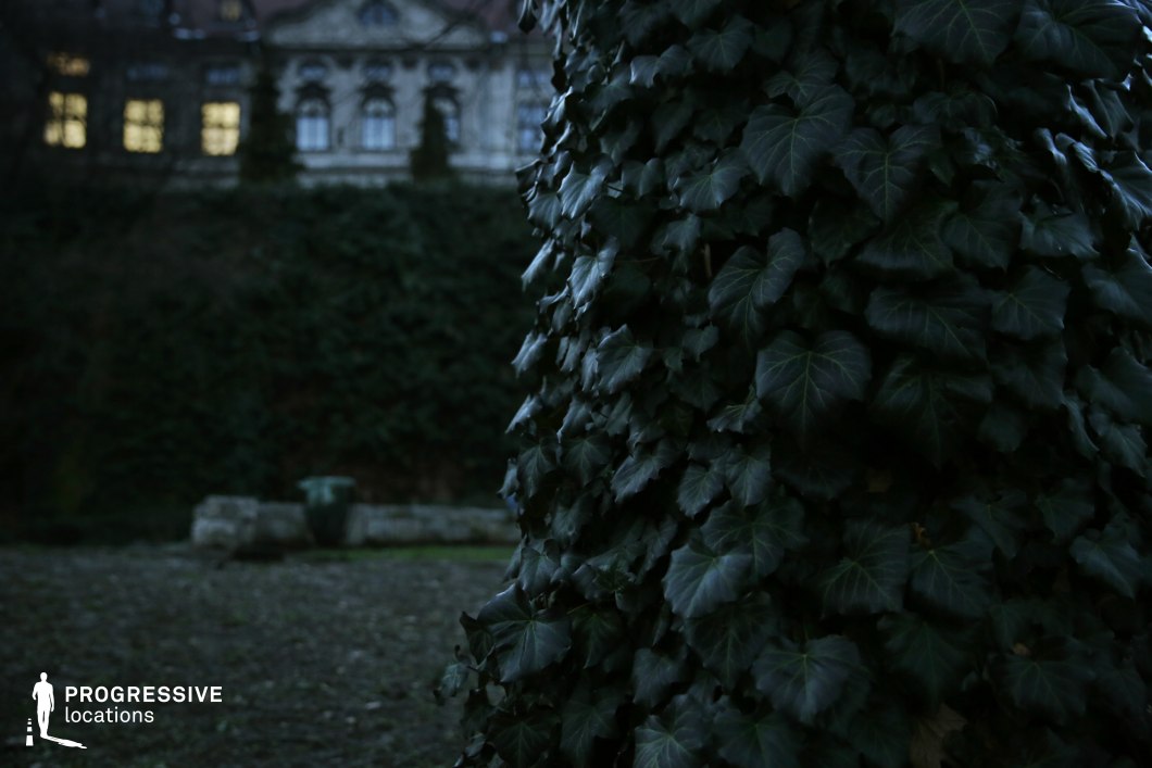 This image presents a dark, ivy-covered tree trunk in sharp focus, with a stately historic mansion visible in the blurred background. The grand building features intricate architectural detailing, arched windows, and illuminated interiors, partially obscured by thick greenery. The setting appears overgrown and untamed, with a barren ground and scattered stone structures, contributing to a sense of abandonment or secrecy. The interplay between the lush ivy and the distant structure adds depth and contrast, making this an excellent location for mysterious, gothic, or suspenseful cinematic scenes. This environment is ideal for psychological thrillers, period dramas, or horror films that require a hidden estate, a secret garden, or an ominous, atmospheric retreat.