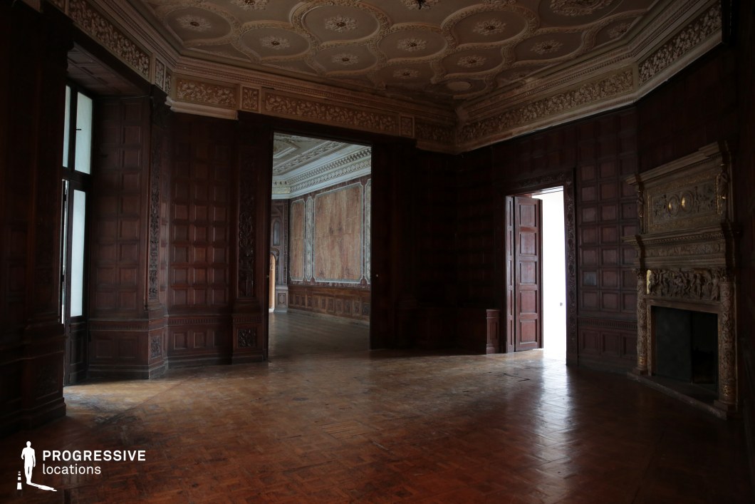 The image presents a grand historic interior featuring dark wooden paneling, an intricately carved fireplace, and an opulent coffered ceiling adorned with floral plasterwork. The worn parquet flooring enhances the aged elegance of the space, while large doorways lead into additional rooms with elaborate moldings and decorative wall finishes. The interplay of shadow and warm wood tones creates a rich and atmospheric setting. This location is ideal for period dramas, aristocratic settings, or psychological thrillers, offering a refined yet slightly eerie ambiance suitable for historical intrigue or mysterious narratives.
