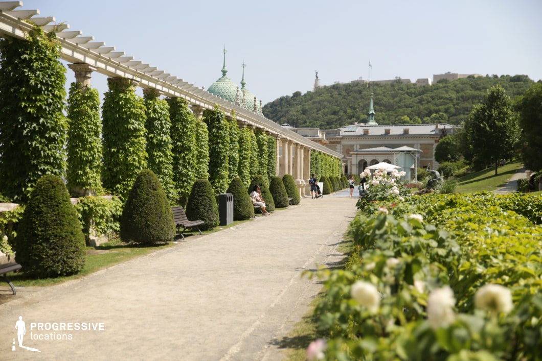 Garden pathway beside pergola, a photography and film location with trimmed hedges and repeating columns