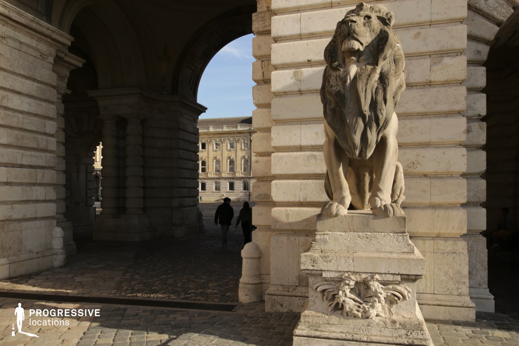 Stone lion sculpture by arched passage, shooting location for film and photography projects with strong contrast and detailed masonry