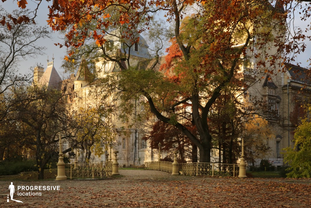 Castle building framed by trees in a park, photography and film location with layered foliage and historic architecture