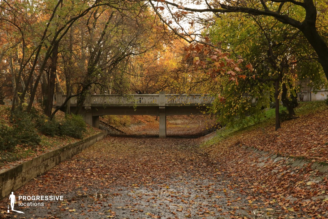 Small bridge over park channel surrounded by trees, film and photography location with natural textures and layered foliage