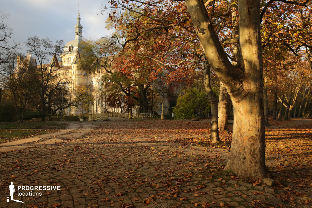 Cobblestone park path leading toward castle building, shooting location for film and photography projects with trees and open space