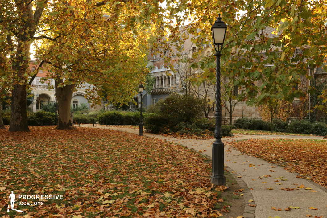 Tree-lined park path with lamppost, available for filming or photo shoots with winding walkway and dense greenery