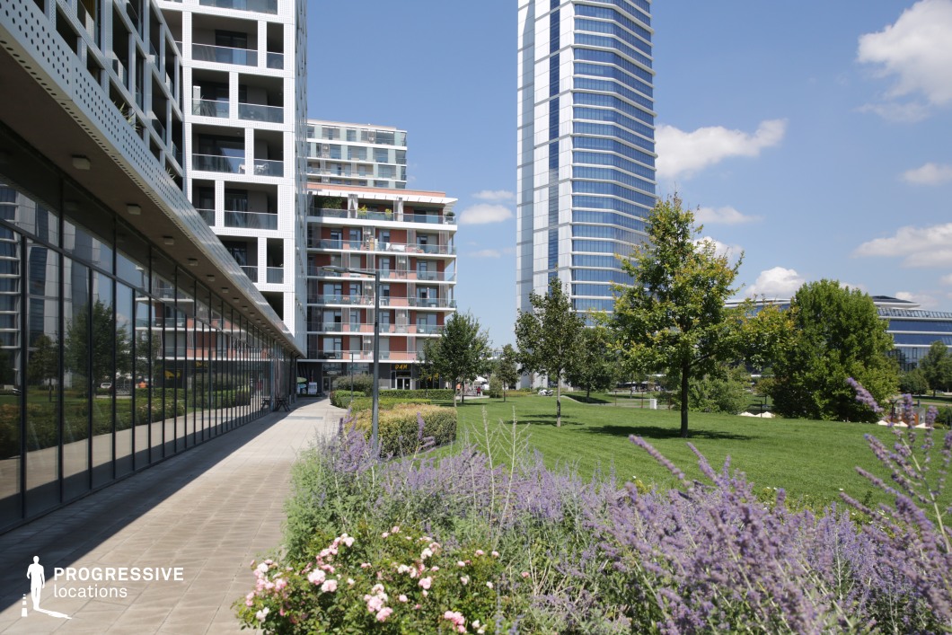 Urban green park with modern buildings, photography and film location with landscaped paths