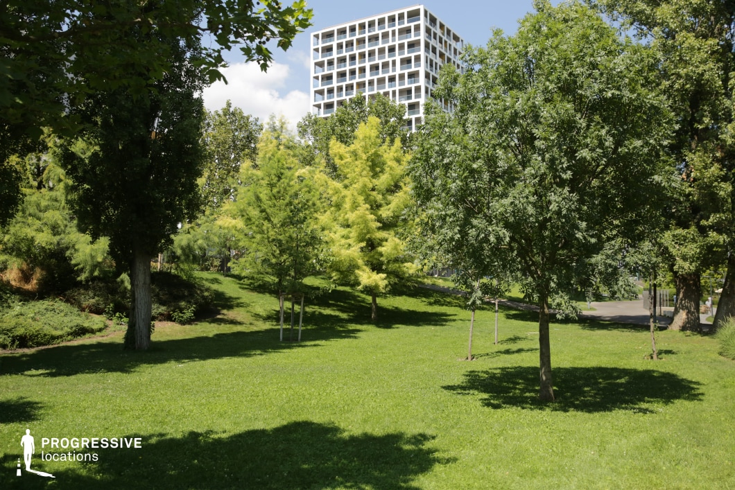 Green park with trees and modern building, photography and film location with natural and urban contrast