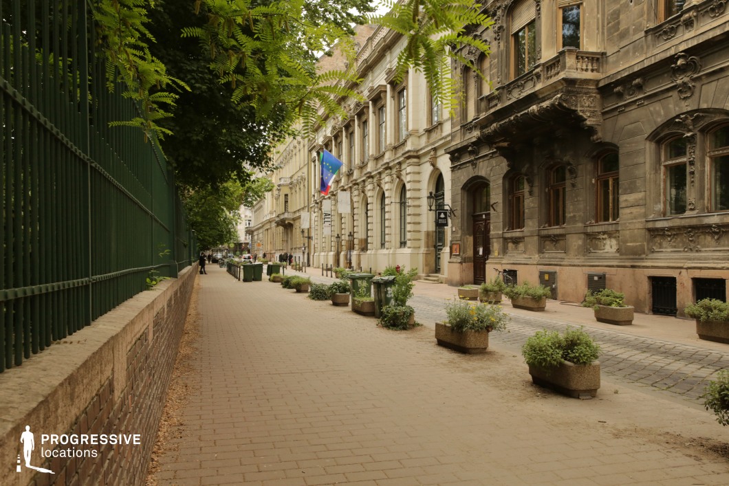 Narrow historic street with ornate facades and planters creates a photography and film location with strong linear perspective