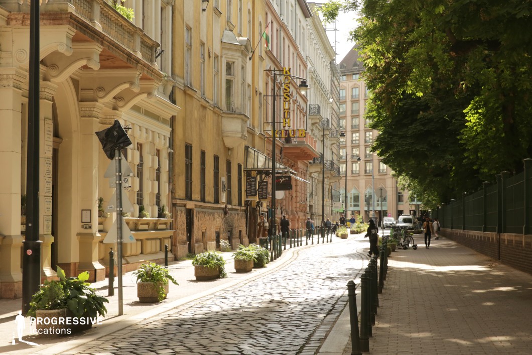 Sunlit historic street with trees and cobblestones offers a dynamic film and photography location with depth and light contrast