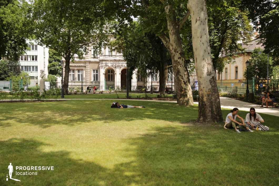 Open grassy park with trees and surrounding buildings forms an ideal location for photography and filming projects