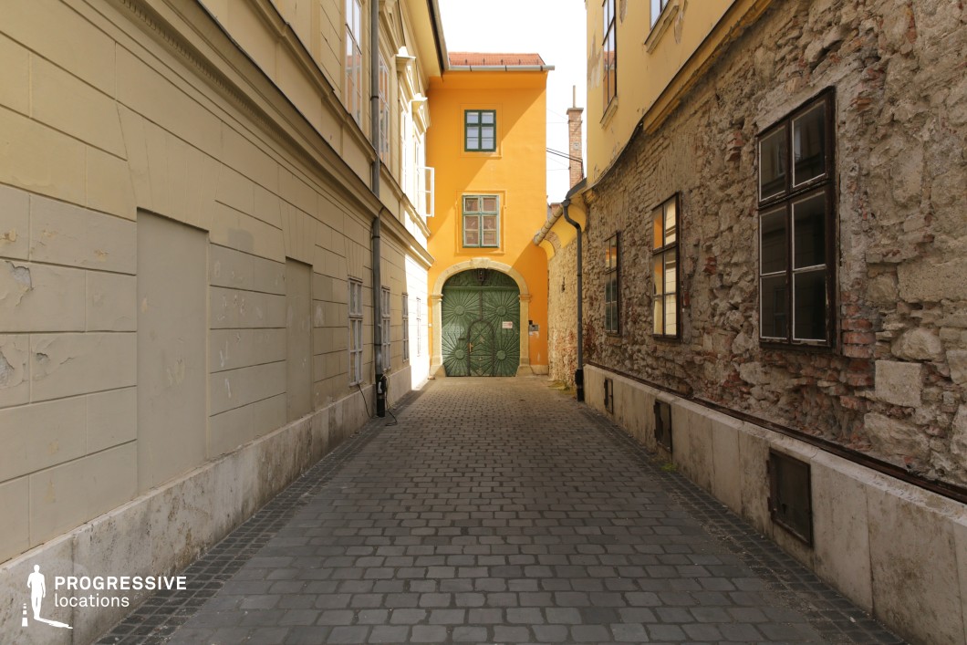 Cobblestone alley ending at green gate, shooting location for film and photography projects