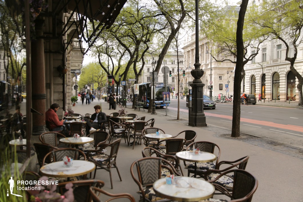Tree lined boulevard with outdoor cafe seating serves as an ideal film and photography location in a historic district.