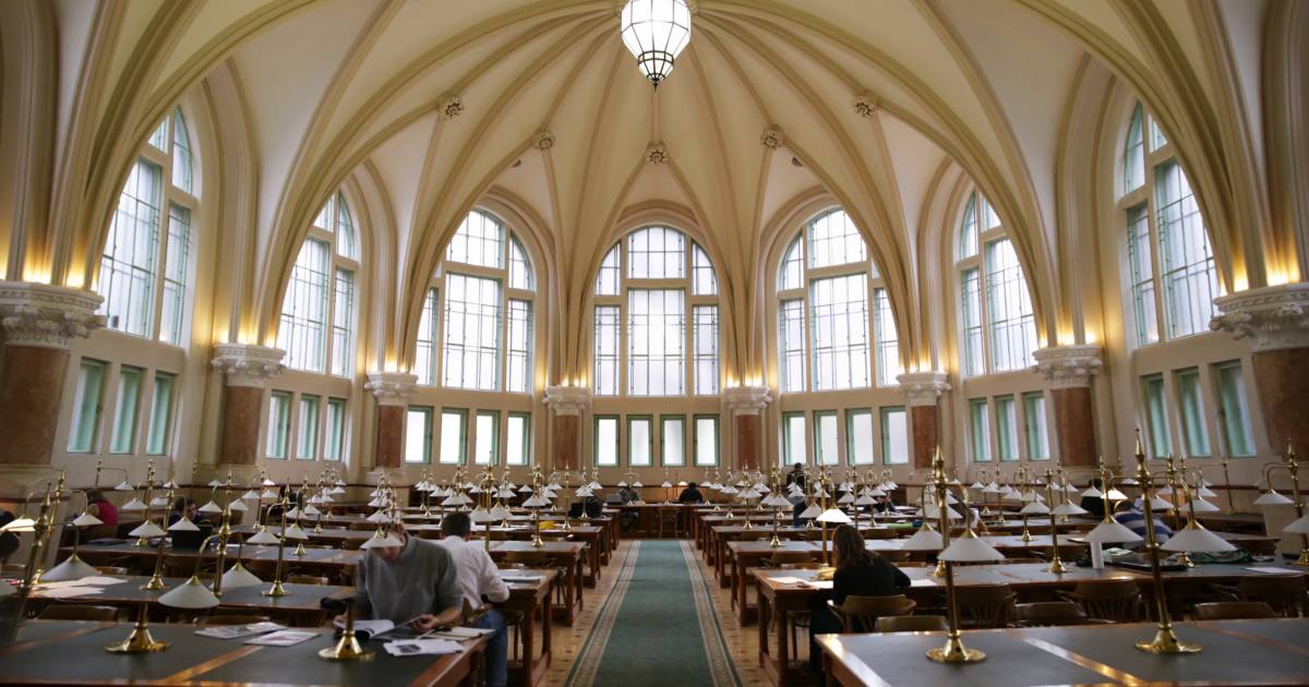 library gothic hall