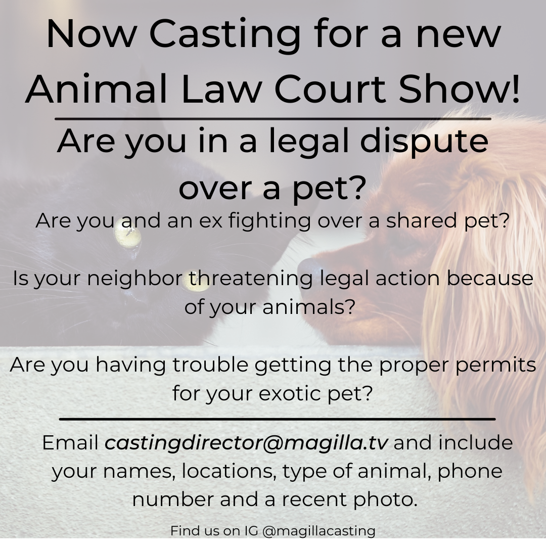 Casting for new Animal Law Show