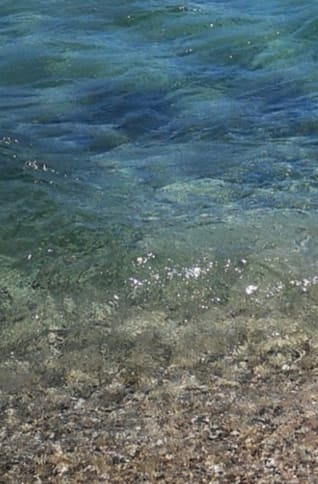 Alia L - Profile Photo